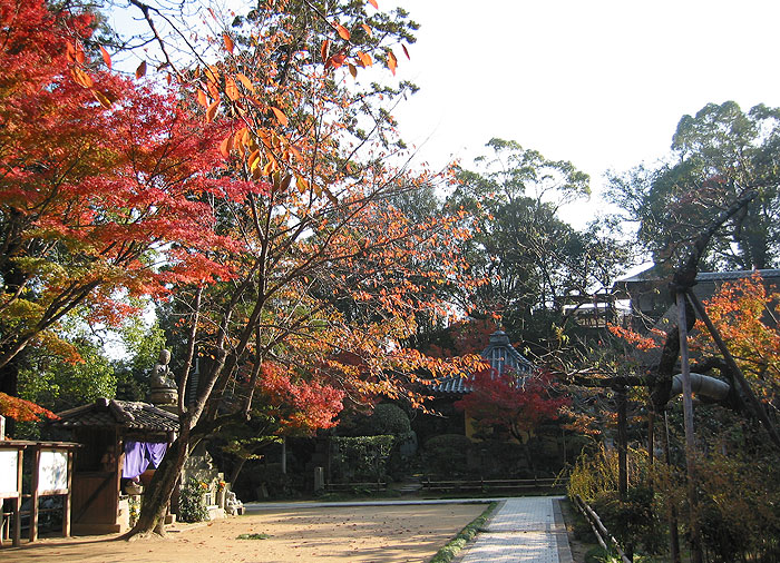 円通寺の紅葉