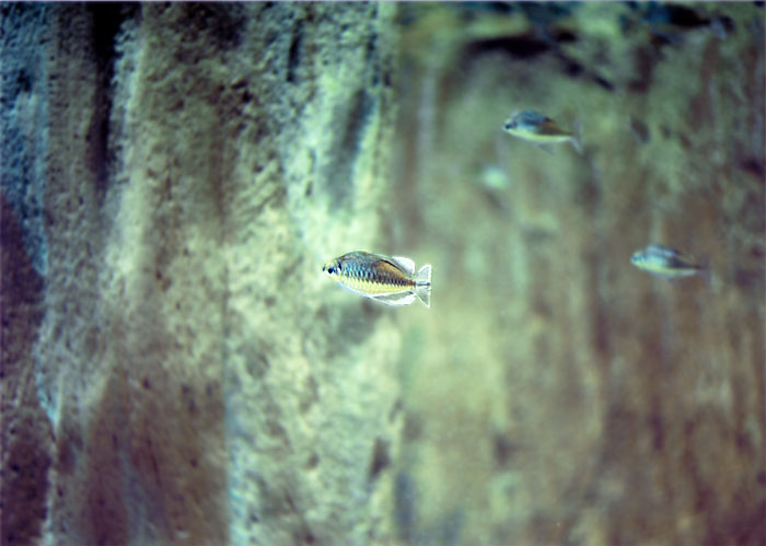 上野動物園・水族館