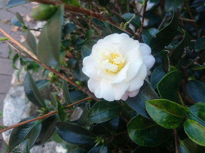 公園で