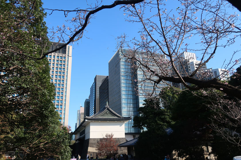 皇居東御苑より