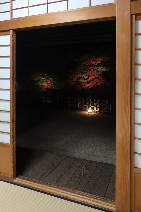 秋の幻想庭園 4