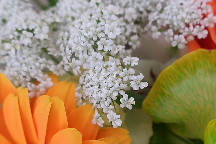 花三昧（2）2