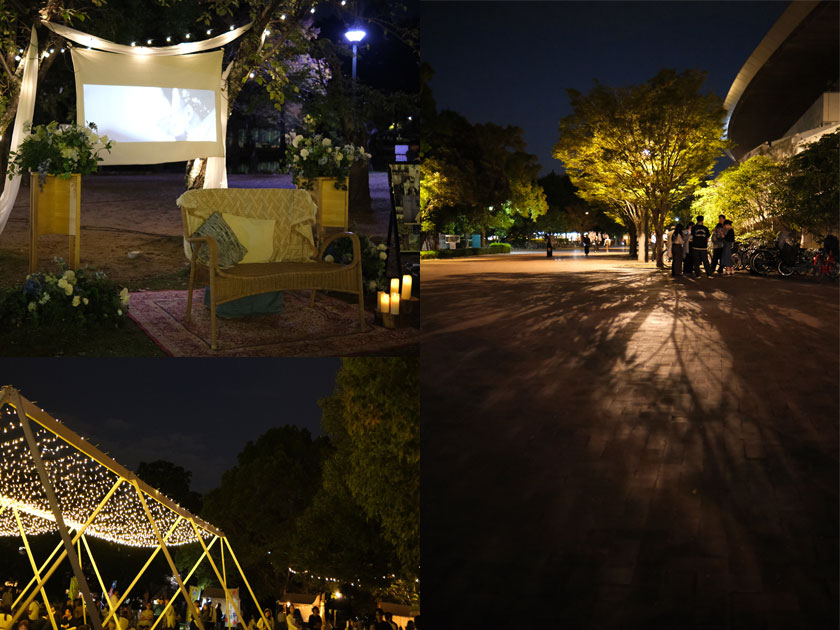 NIGHT PICNIC