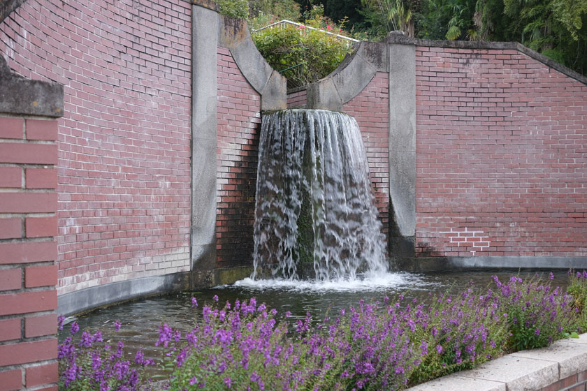 植物園スナップ2