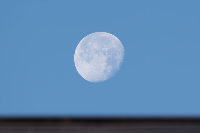 朝の月