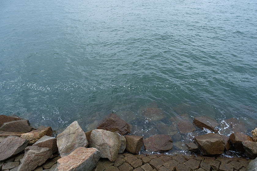 海