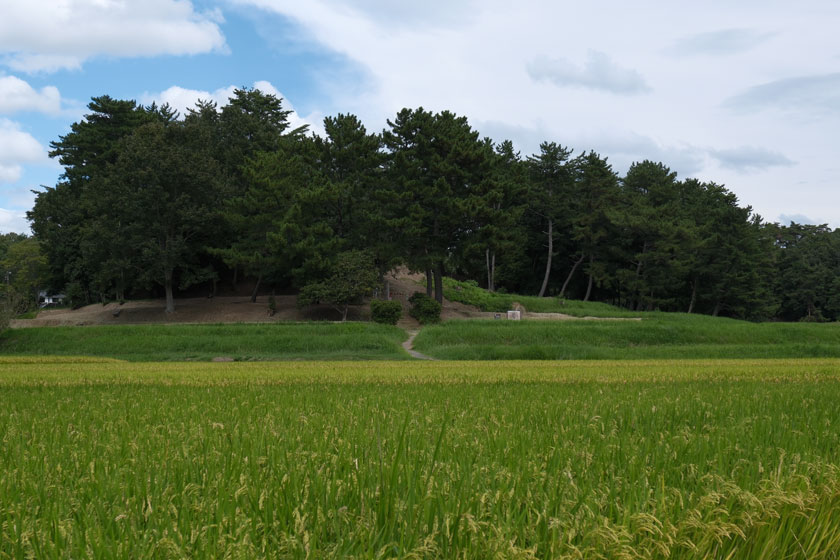 こうもり塚古墳全景