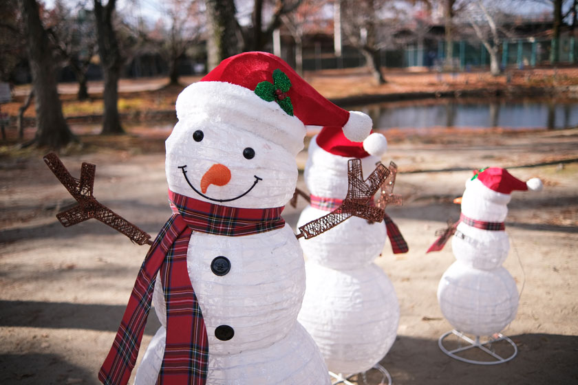 公園のクリスマス