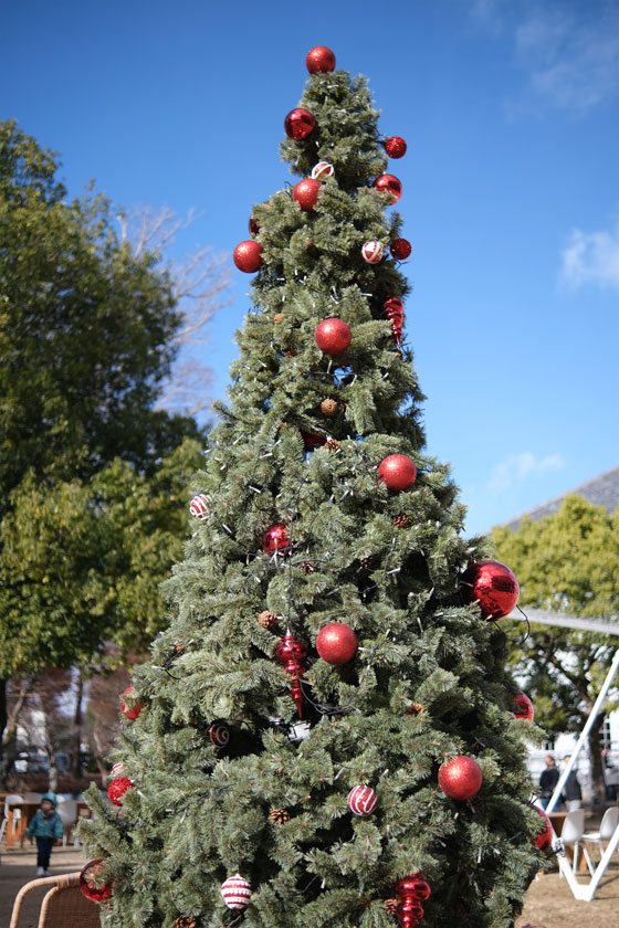 公園のクリスマス2