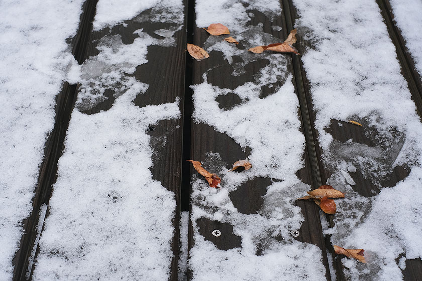 雪に足跡