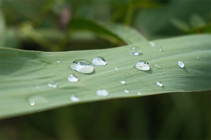 水滴