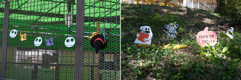 ハロウィン
