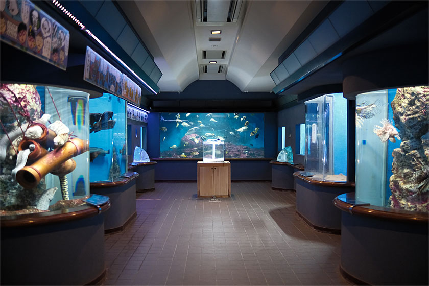 渋川マリン水族館