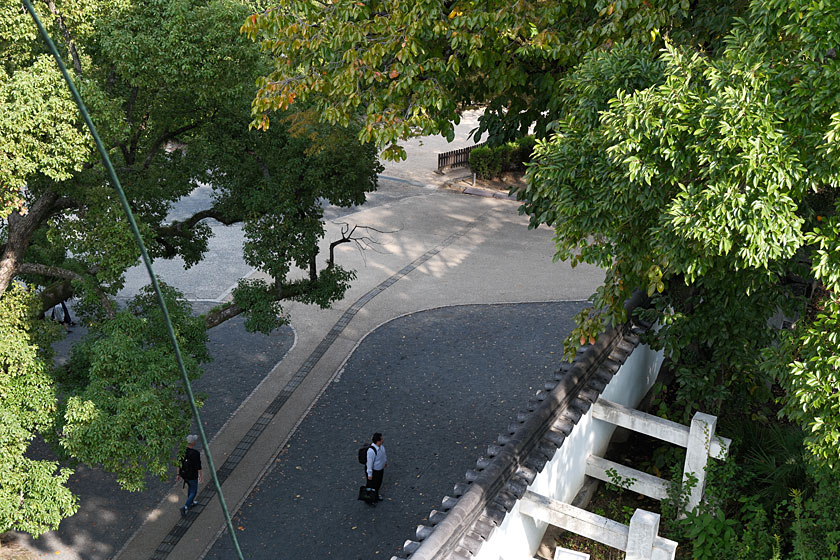 2階から見る景色2