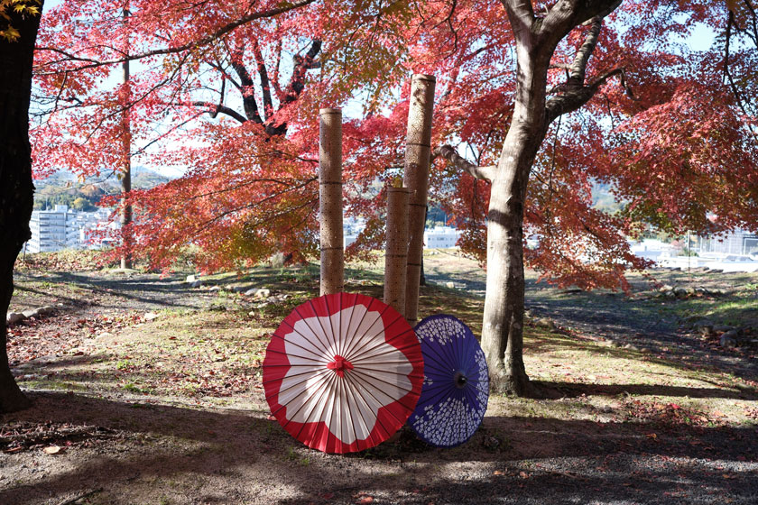 津山 2　津山城もみじまつり