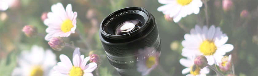 機材の整理と標準レンズ