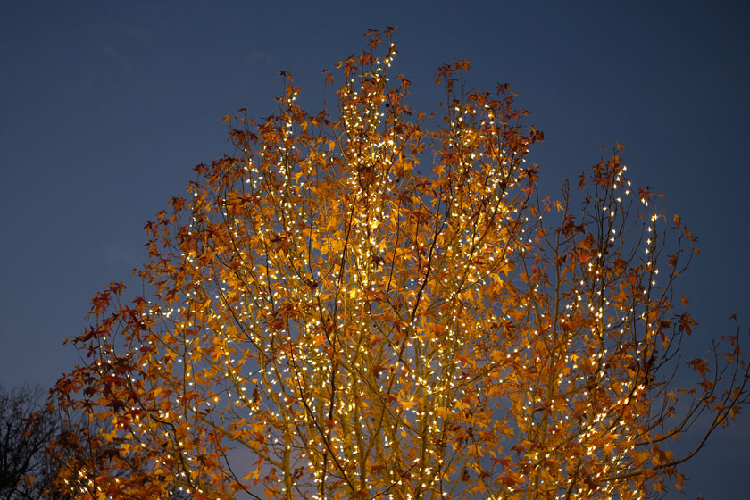 クリスマスマーケット5