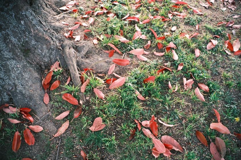 ウルトラマンレンズ4