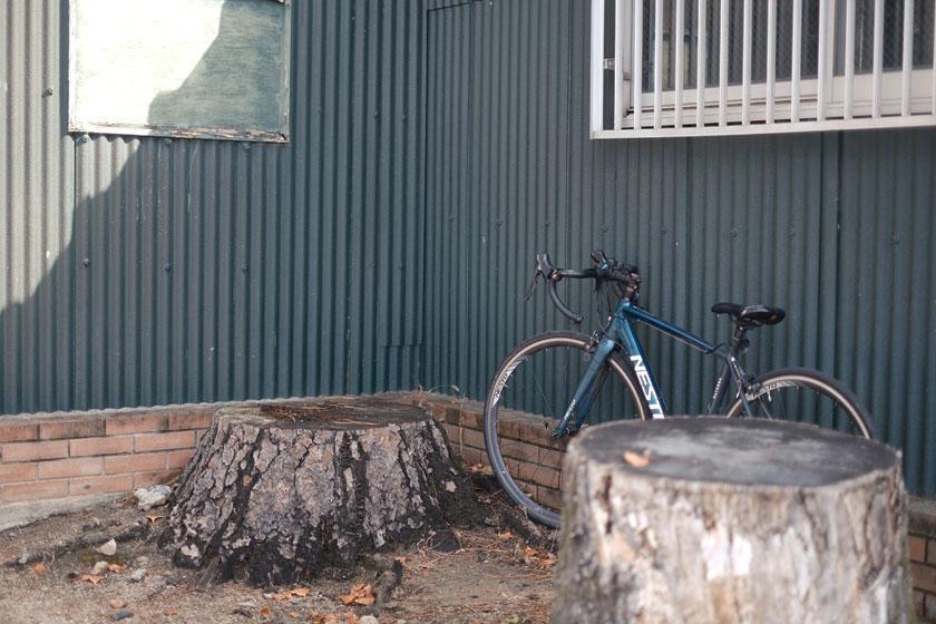 小屋の裏