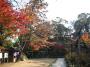 円通寺の紅葉
