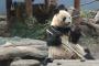 上野動物園