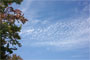うろこ雲