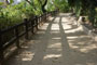 散歩道