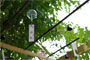 鶴舞公園 3　風鈴編