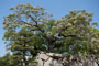 風景の記憶 #5