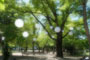 公園幻想